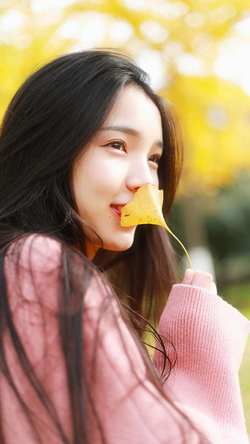 满18点此安全转入2024功能展示